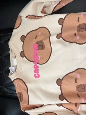 Capyfun Zara sweatshirt